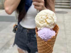 -成裕雪糕店(士多店)
