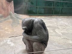 -石家庄市动物园