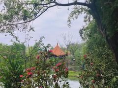 -北湖公园