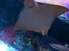 -沈阳海洋探索中心