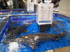水产区-盒马鲜生(财富中心店)