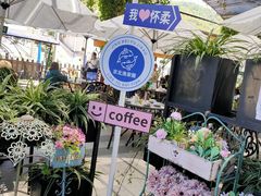 -京北渔家傲