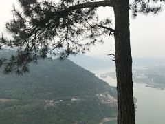 -铁山坪森林公园