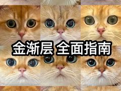 -福州肆爪动物医院