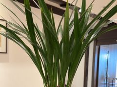 -皇城老妈火锅·川味传承(港湾店)