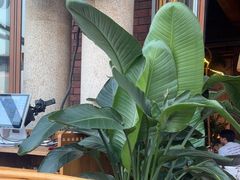 -不二·民谣音乐餐吧(长沙店)