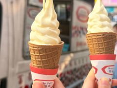 -富豪雪糕车流动点(尖沙咀)