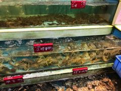 -旺富东海大酒楼(海鲜街店)