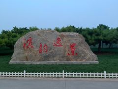 -塘沽森林公园