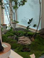 -极昼美黑24H日晒沙龙