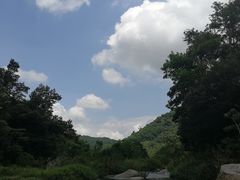 -海南热带雨林国家公园吊罗山景区