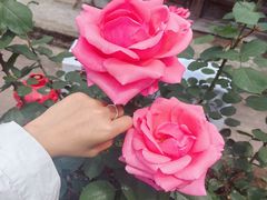 -涞滩古镇
