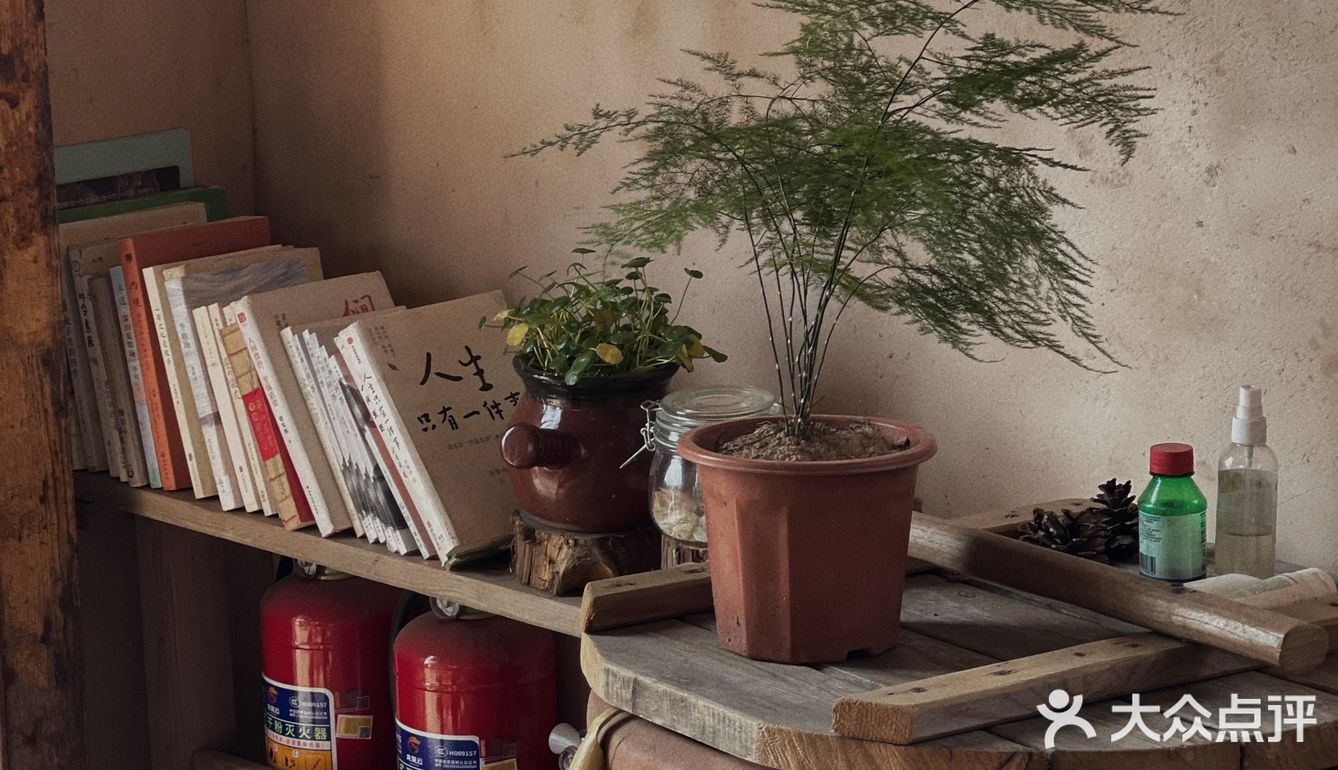 暂离城市喧嚣 | 这里有向往的生活🏡 | 我相信你一定会喜欢