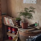 暂离城市喧嚣 | 这里有向往的生活🏡 | 我相信你一定会喜欢
