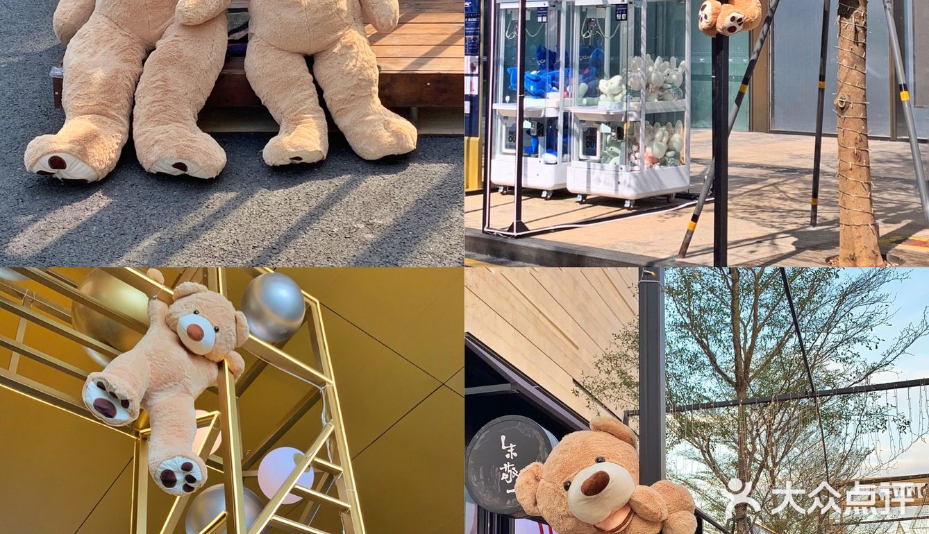 深圳拍照探店｜首发🧸60只泰迪熊来袭啦！