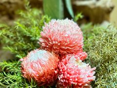 -翁暖茶馆(滨江东总店)