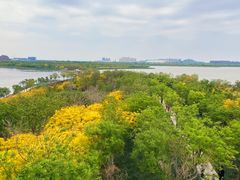 -天津东丽湖风景区