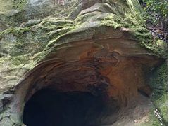 -缙云山景区