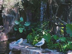 -长鹿旅游休博园