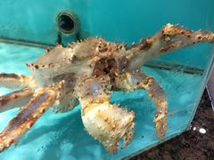 -拉完海鲜大排档(温岭店)