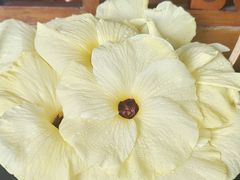 -春耕野菜馆(湖滨路店)