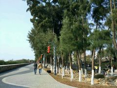 -宝安西湾红树林湿地公园