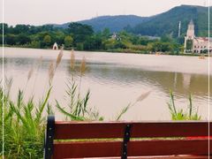 -美的鹭湖森林度假区