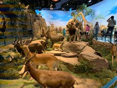 -陕西自然博物馆