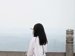 -杨氏青龙虾·羊蝎子(托乐嘉店)
