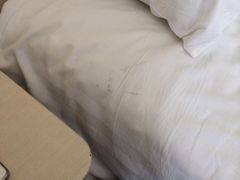 另一个被罩上的污迹-汉庭(天津滨江道步行街店)