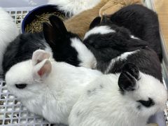 -三旗百汇商品城