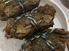 -樱煦和牛寿喜烧(如皋吾悦广场店)