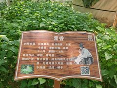 -草根堂农场