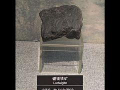 -甘肃地质博物馆