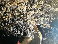-堤角公园
