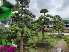 -大笑饭堂(甲子桥店)