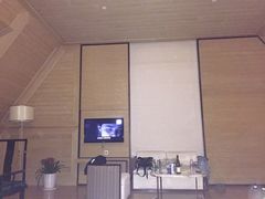 海河英迪格酒店-天津津利华酒店