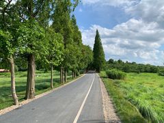 -良渚古城遗址公园