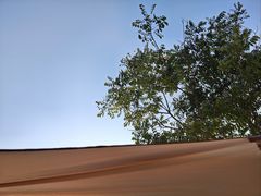 -径山花海