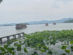 -西湖游船