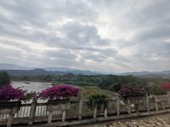 -中国科学院西双版纳热带植物园