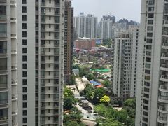-新湖明珠城