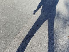 -台场海滨公园船码头