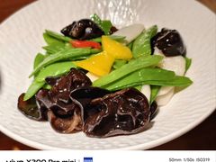 -大树餐厅(益田假日店)