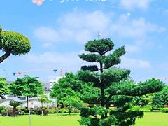-广东圆玄道观