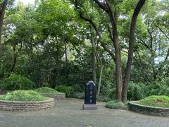 -上海佘山国家森林公园天马山园