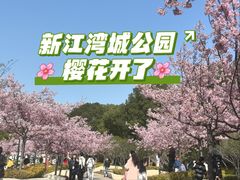 -新江湾城公园