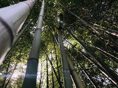 -敬亭山风景名胜区