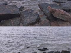 -深圳湾公园(南山区)
