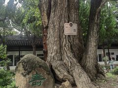 -苏州文庙(姑苏区)